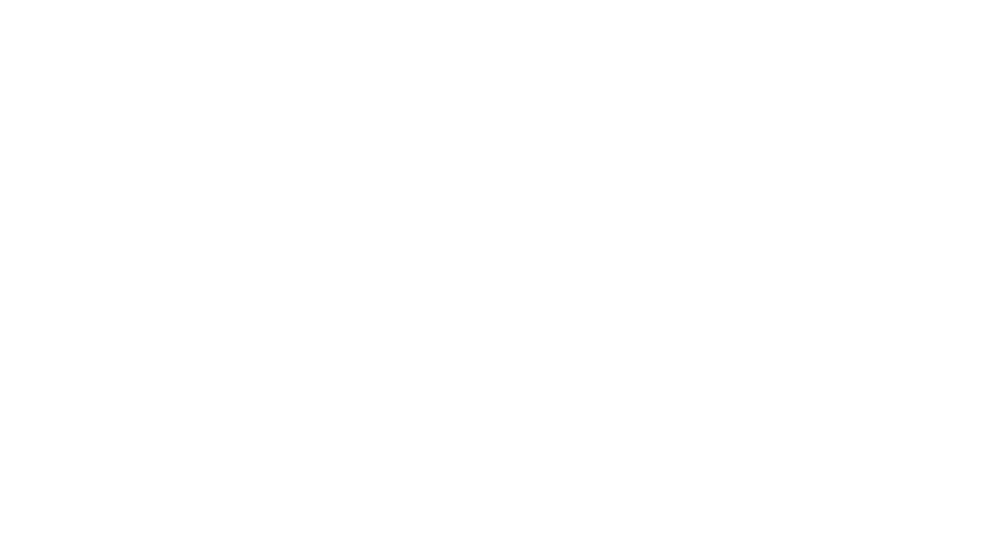 VECTORIS